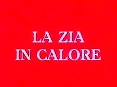 La Zia In Calore part 1